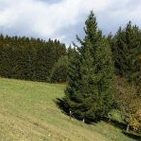 Landgasthof Hauser Immendingen Luaran gambar